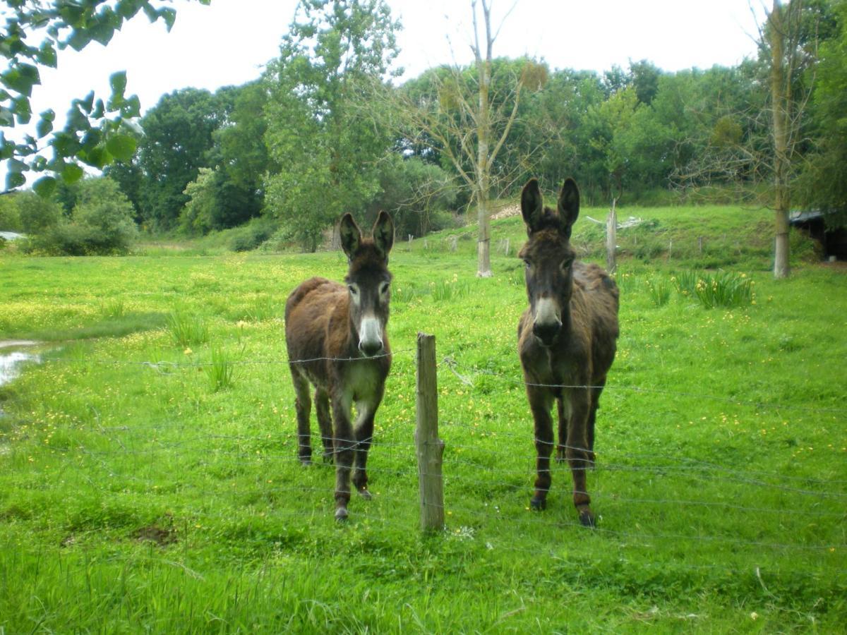 Chambres D'Hotes Du Moulin De La Chaussee Saint-Denis-d'Orques Esterno foto