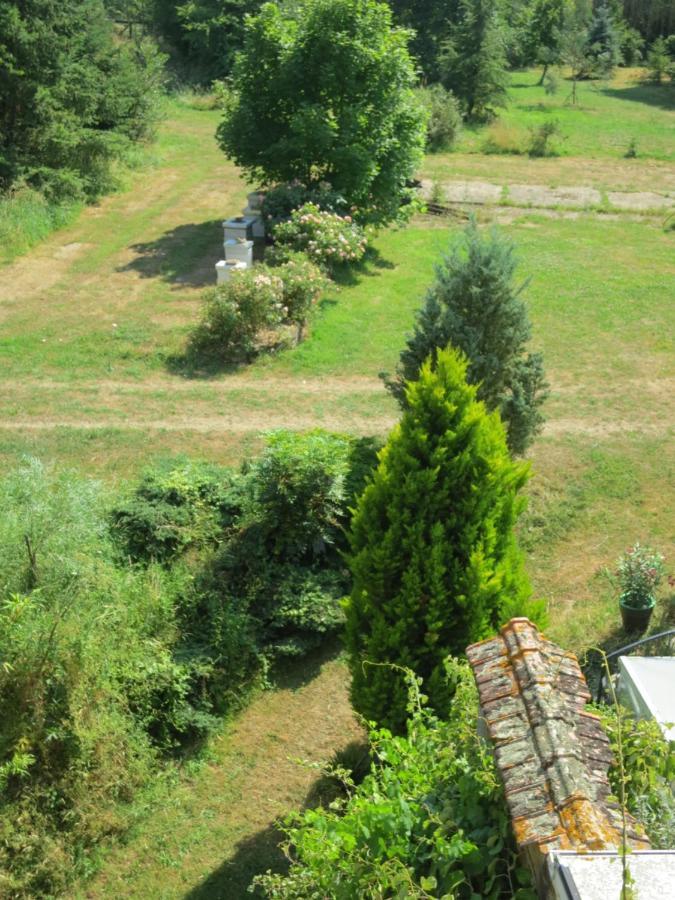 Chambres D'Hotes Du Moulin De La Chaussee Saint-Denis-d'Orques Esterno foto